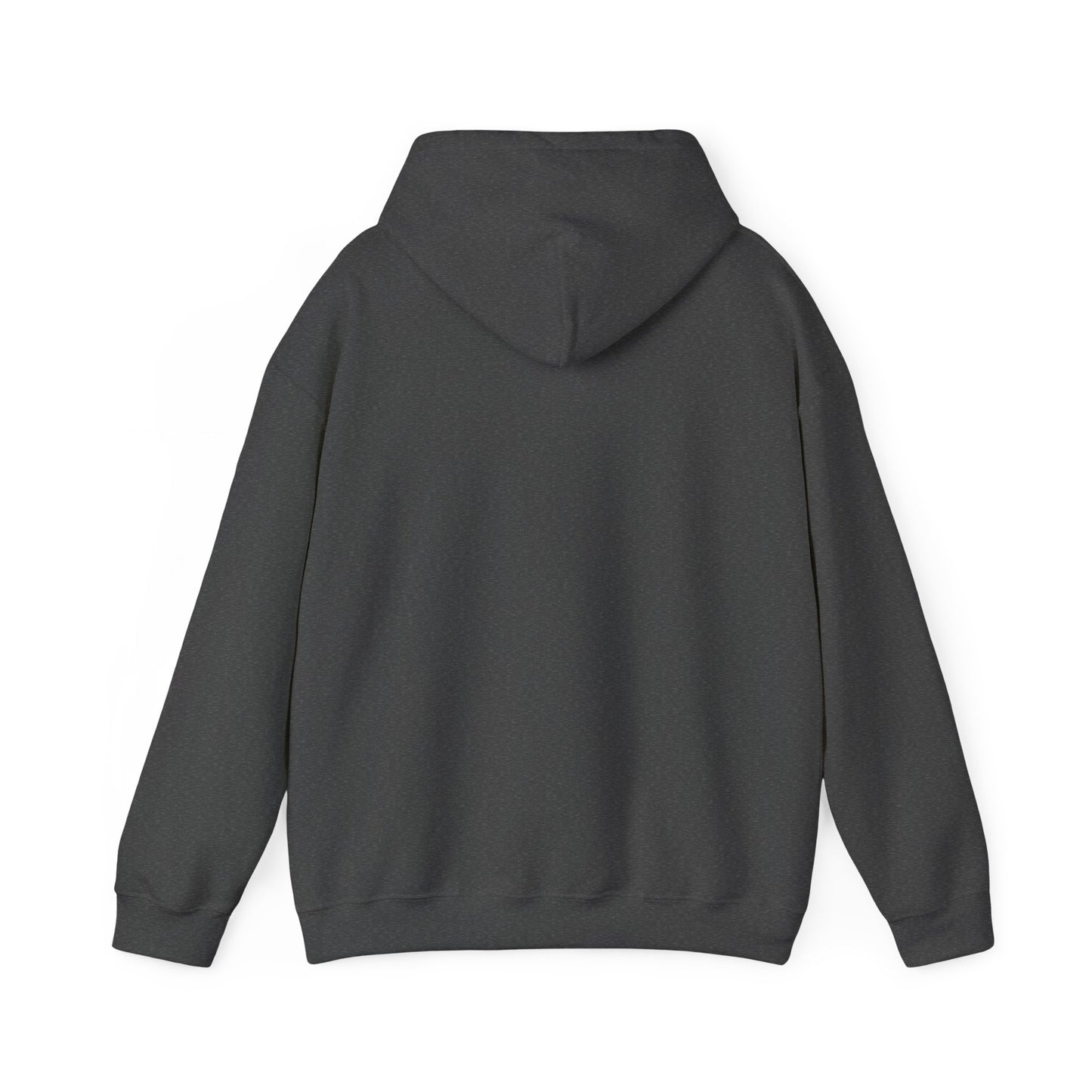 Patriot Flag Graphic Hoodie — American Flag 'PATRIOT' Pullover