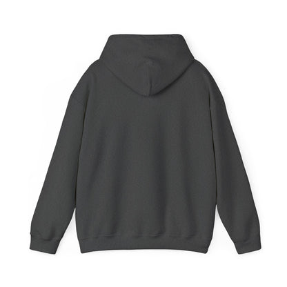 Patriot Flag Graphic Hoodie — American Flag 'PATRIOT' Pullover