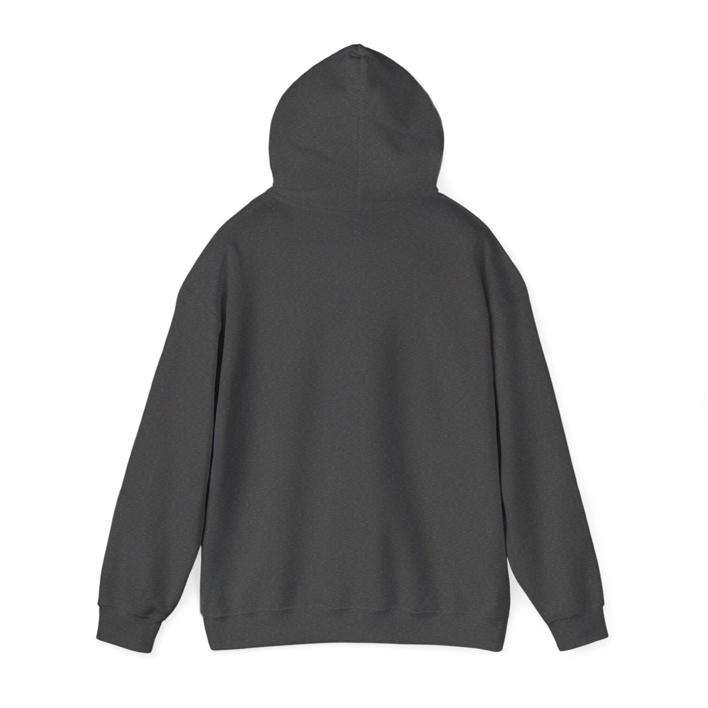 Patriot Flag Graphic Hoodie — American Flag 'PATRIOT' Pullover