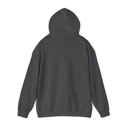 Patriot Flag Graphic Hoodie — American Flag 'PATRIOT' Pullover